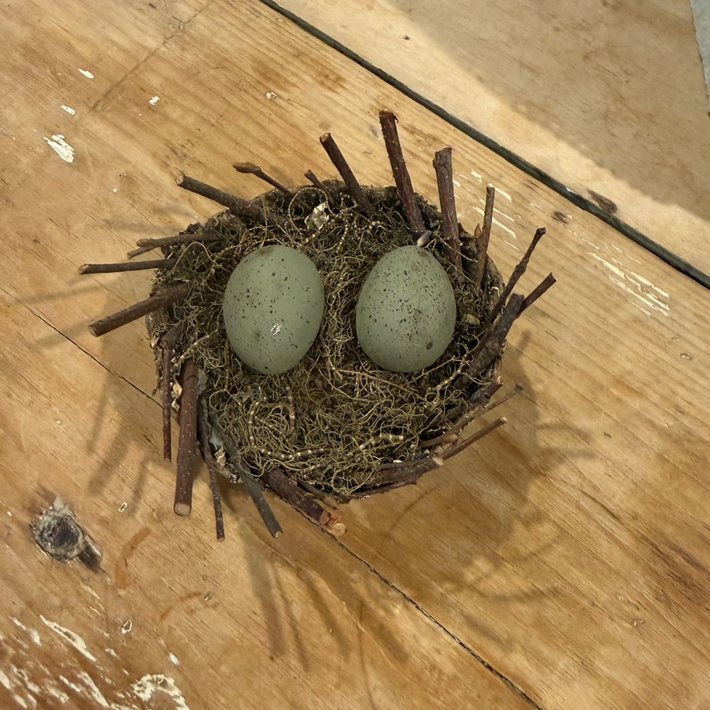 Rustic Twig Nest with Green Speckled Eggs - Home Accents Faux Florals